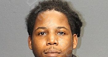 WINSTON, MARCUS STEPHAN | 2022-06-04 02:19:00 Western Tidewater, Virginia Booking