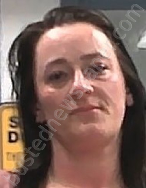 Palmer, Brittany Anne Mugshot 20220604 011500 Berkeley County