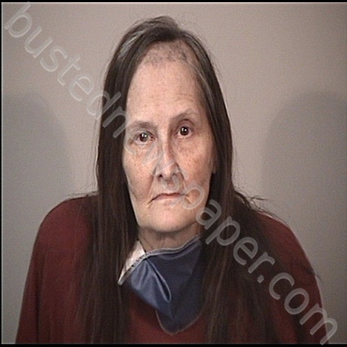 COOK, BRENDA LEE #, Rappahannock Regional Jail, Virginia - 2022-06-04 14:11:00