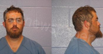 MAGNUSON, RYAN CHRISTOPHER | 2022-06-05 Andrews County, Texas Booking