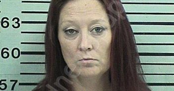 EMPEY, DEONA JANELLE | 2022-06-06 02:30:02 Hood County, Texas Booking