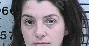 TUSTIN, ELIZABETH RENEE | 2022-06-06 12:06:38 Hood County, Texas Booking
