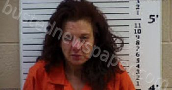 SHAW, DEANNA MARIE | 2022-06-07 01:44:00 Cherokee County, North Carolina Booking