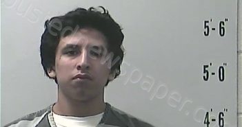 SALINAS, JOSIAH | 2022-06-07 17:53:00 Pulaski County, Indiana Booking