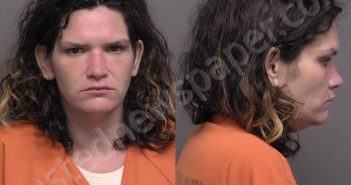 BURKE,JESSICA LYNN | 2022-06-08 02:00:00 Saline County, Kansas Booking