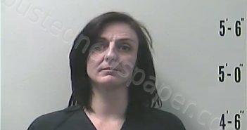 DELLER-SHIDLER, JOANNA LYNN | 2022-06-08 15:25:00 Pulaski County, Indiana Booking