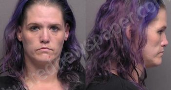 JAGGERS,KELLI NOREEN | 2022-06-08 20:00:00 Saline County, Kansas Booking