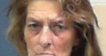 BAEZ, DIANNA LILLIAN | 2022-06-08 23:45:00 Harrison County, West Virginia Booking