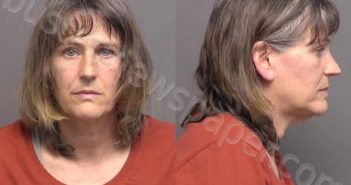 LAMER,LISA MICHELE | 2022-06-09 13:00:00 Saline County, Kansas Booking