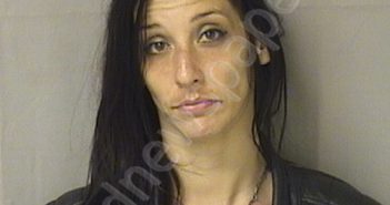 MCCLOY, JENNIFER MICHELLE | 2022-06-09 03:00:00 Tyler County, West Virginia Booking