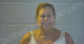 GEER, PENNY M | 2022-06-09 19:35:00 Pulaski County, Kentucky Booking