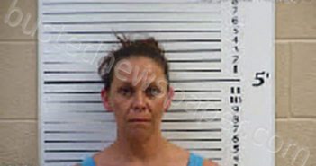 DEISHER, SARA ANN | 2022-06-10 13:37:00 Cherokee County, North Carolina Booking