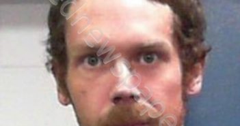 REYNOLDS, JAMES G | 2022-06-11 19:20:00 Harrison County, West Virginia Booking