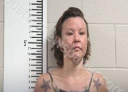 TIFFANY LANDERS | 2022-06-13 16:47:00 Franklin, Tennessee, Franklin County, Tennessee Booking