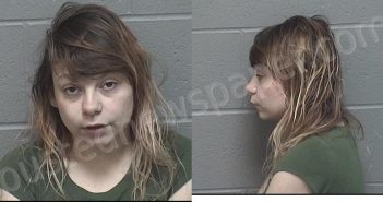 ELLIOTT, BRIANNA NICOLE RAE | 2022-06-13 00:17:00 Crawford County, Kansas Booking