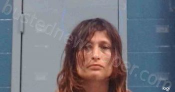 COOK, TONI MARIE | 2022-06-13 06:40:00 Kanawha County, West Virginia Booking