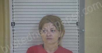 WATSON, AMY SUE | 2022-06-14 20:03:00 Taylor County, Kentucky Booking