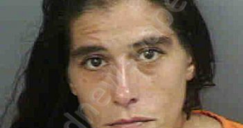 <B>WEBSTER</B>,<B>MONICA</B> <B>LYNNE</B> #, Collier County, Florida - 2022-06-14