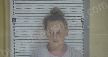 ANDERSON, HEATHER N | 2022-06-15 13:17:00 Taylor County, Kentucky Booking