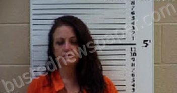 STILES, JILLIAN NICOLE | 2022-06-15 13:47:00 Cherokee County, North Carolina Booking