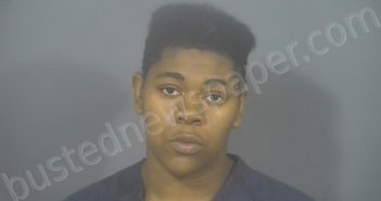 COLE, SIERRA RENEE | 2022-06-16 02:00:00 St. Joseph County, Indiana Booking