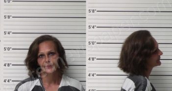 MENCHACA, MELISSA LYNN | 2022-06-17 Kerr County, Texas Booking