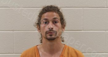 GONZALEZ, TONY | 2022-06-17 23:06:00 Pickens County, Georgia Booking