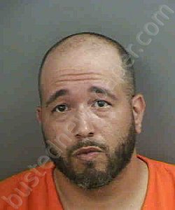 DIAZ,CHRISTOPHER JOSE | 2022-06-18 Collier County, Florida Booking