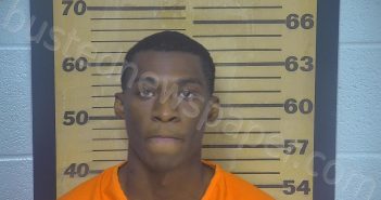 WILSON, GERALD LAMAR, JR | 2022-06-19 02:26:00 Ottawa County, Ohio Booking