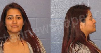 GONZALEZ, INEZ GARCIA | 2022-06-19 Andrews County, Texas Booking