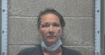 DELGADO-SAMPLES-<B>PRUITT</B>, <B>ANGEL</B> <B>MARIE</B> #, Henderson County, Kentucky - 2022-06-19 23:10:00