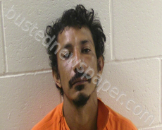 RUBIO JOSE ALFREDO | 2022-06-20 Cameron County, Texas Booking