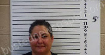 CARDENAS, JENNIFER | 2022-06-21 14:01:00 Cherokee County, North Carolina Booking