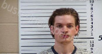 PAYNE, PRESLEY MARK | 2022-06-21 10:10:00 Cherokee County, North Carolina Booking
