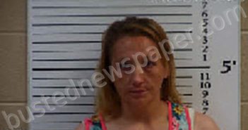 BATEMAN, JILLIAN BETH | 2022-06-22 09:26:00 Cherokee County, North Carolina Booking