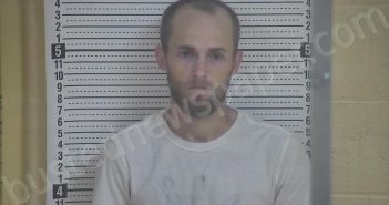 DAVIS, EDGAR TYLER | 2022-06-22 13:21:00 Taylor County, Kentucky Booking