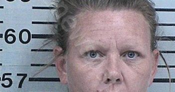 HANSON, MICHELE LYNN | 2022-06-23 21:12:22 Hood County, Texas Booking