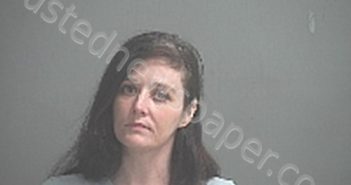 SCHRAMM, HOLLIE MARIE | 2022-06-23 Sandusky County, Ohio Booking