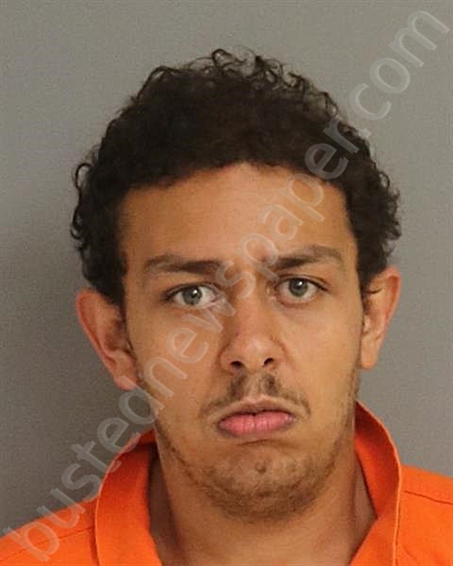 MATTHEW NICHOLAS TORRES #, Osceola County, Florida - 2022-06-23