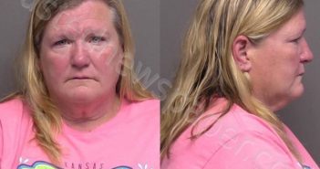FRITZ,CHRISTY JANELL | 2022-06-23 23:28:00 Saline County, Kansas Booking