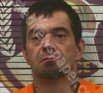 CHRISTPHER STOKES | 2022-06-23 08:10:00 Polk County, Tennessee Booking