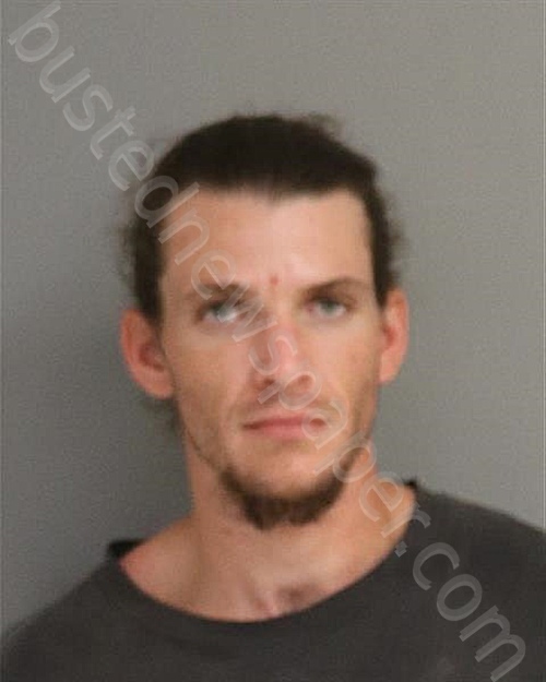 NICHOLAS STEPHEN VLACHOS #, Osceola County, Florida - 2022-06-23