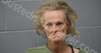 <B>LEANNA</B> <B>JEAN</B> <B>BILYEU</B> #, Johnson County, Missouri - 2022-06-24 22:26:00