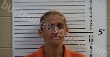 WALDROUP, PATRICA ANN | 2022-06-24 12:21:00 Cherokee County, North Carolina Booking