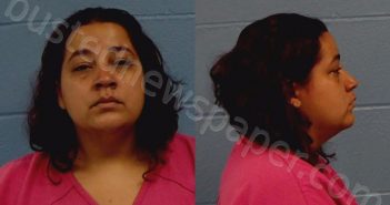 NUNEZ, KEISHLA CENTENO | 2022-06-25 Williamson County, Texas Booking