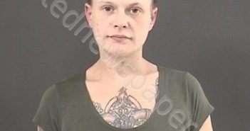 GEARHEART, ELIZABETH SHEREE | 2022-06-25 04:50:00 Roanoke County, Virginia Booking