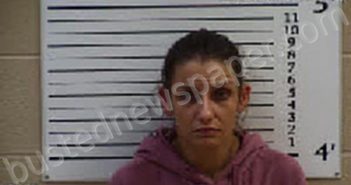 PARKER, HEATHER ALYSE | 2022-06-25 01:50:00 Cherokee County, North Carolina Booking