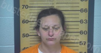BOWMAN, ANNA NICOLE | 2022-06-27 16:27:00 Ottawa County, Ohio Booking