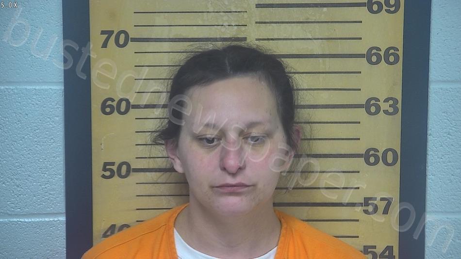 BOWMAN, ANNA NICOLE #, Ottawa County, Ohio - 2022-06-27 16:27:00