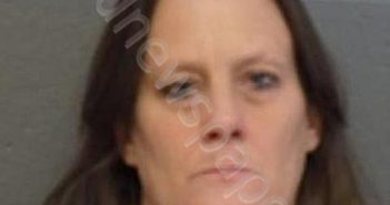 FICHTNER, WENDY SUE | 2022-06-27 17:07:00 Delaware County, New York Booking